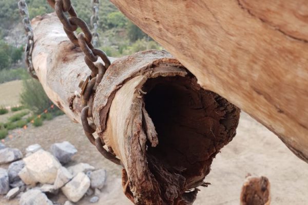 Canberra Conservation Project Canberra Conservation Project