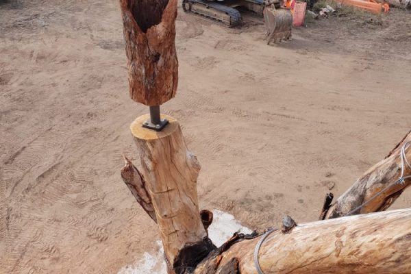 Canberra Conservation Project Canberra Conservation Project