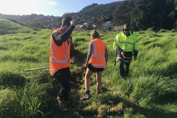 Tawaipareira lizard salvage 2019 v1 Protecting Lizards