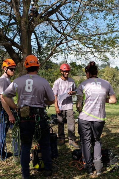 QLD Climbing Competition 4 QLD Climbing Competition