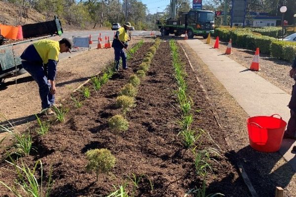 Karana Downs - Figure 5 - Garden bed near completion Planting Trees at Karaka Downs, Wacol