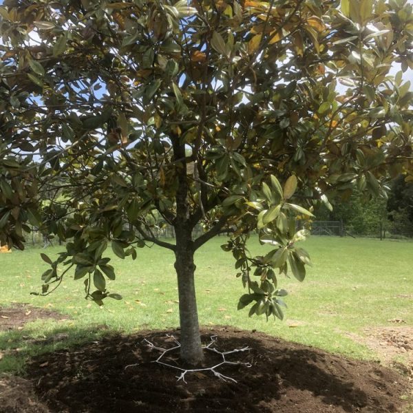 Keeper System installation