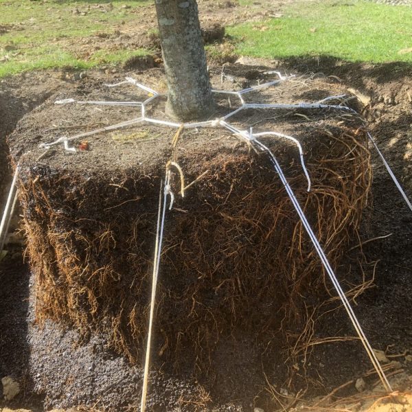 Keeper System installation