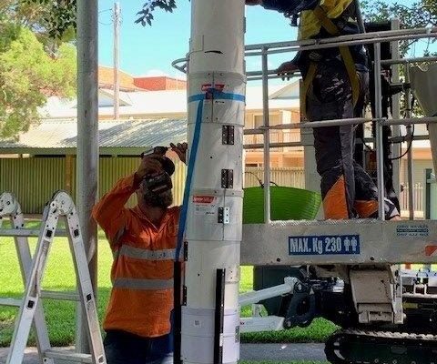 6a Treescape Root feeder