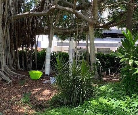 9 Treescape Root feeder