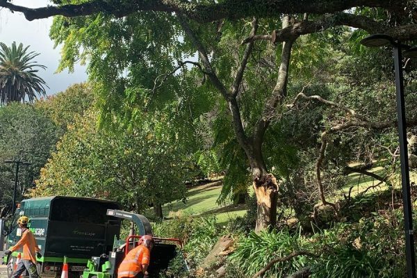 Critical in Auckland CBD - 1 Critical in Auckland CBD - 2