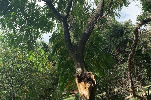 Critical in Auckland CBD - 2 Critical in Auckland CBD - 2