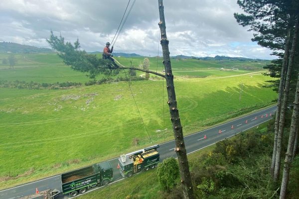 Te Kuiti Powerlines work (3) Te Kuiti Clearing Powerlines