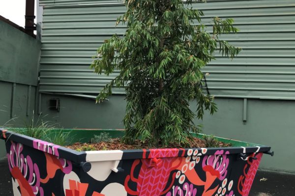 Roberts Lane skip bin tree 03 Urban planting skip bin