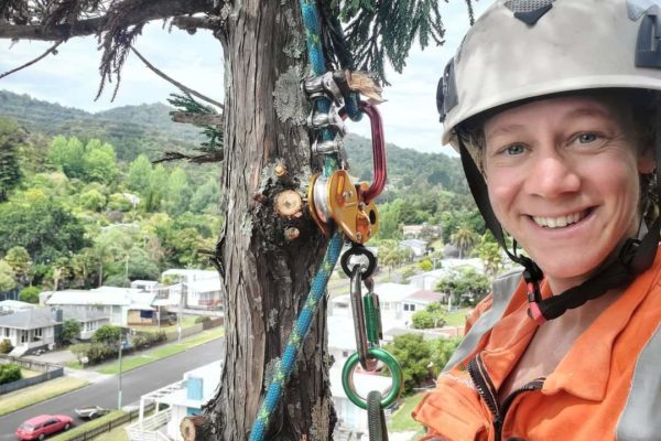 Tree Matters (2) Tree Matters (2)