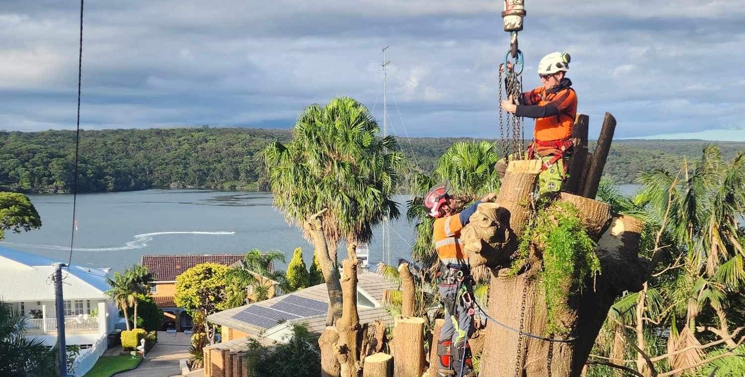 IMG_4300-e1729052697235